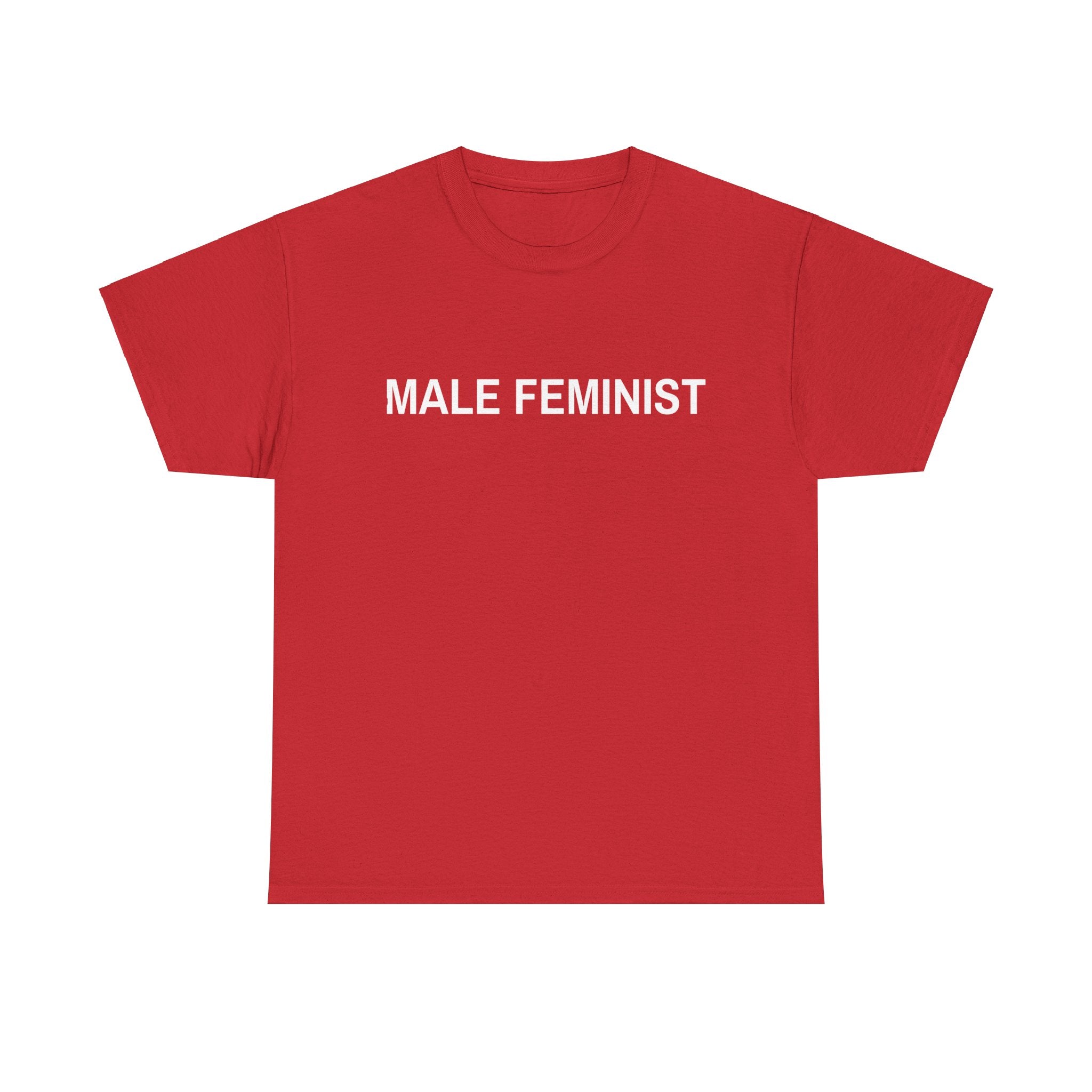 MALE FEMINIST